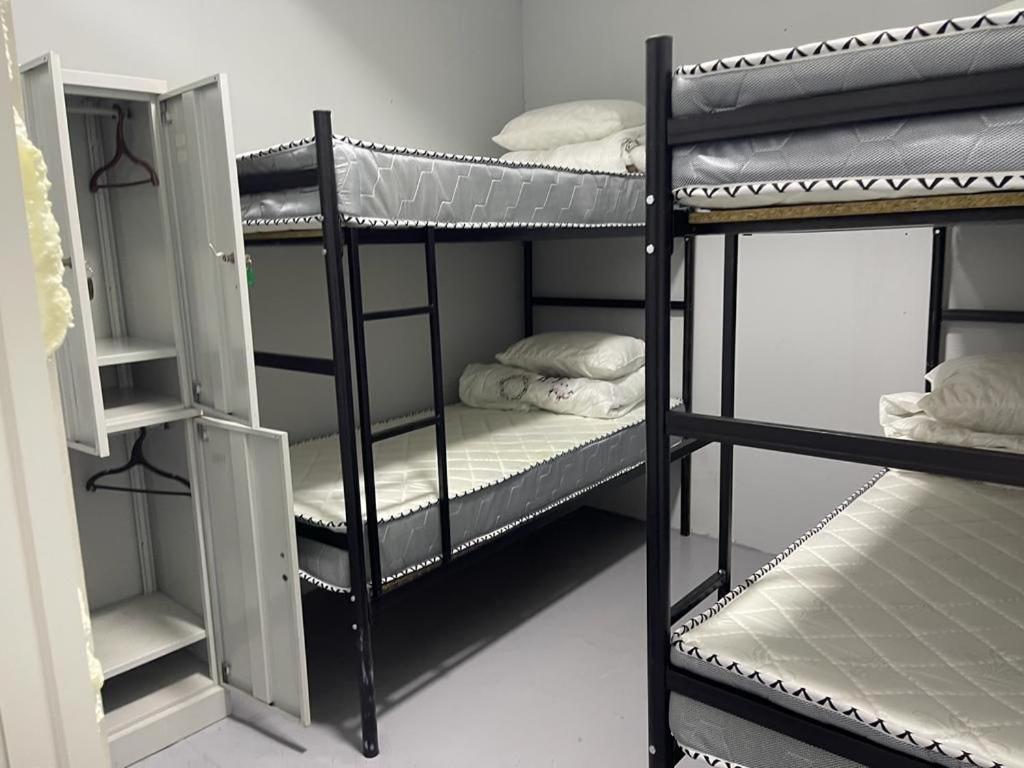 Fox Hostel Almati Kültér fotó